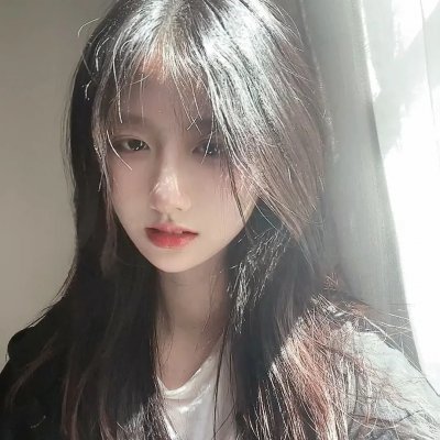 企鹅之岛：福克兰